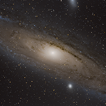 M31