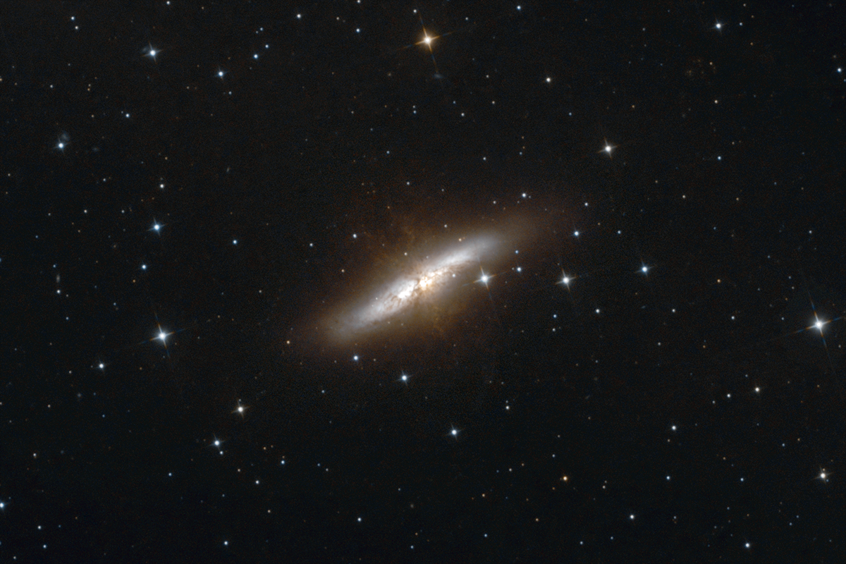 M82