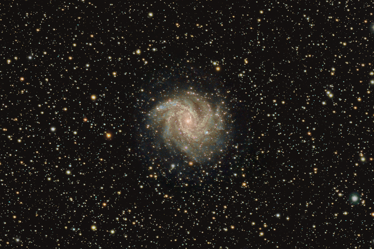 M101
